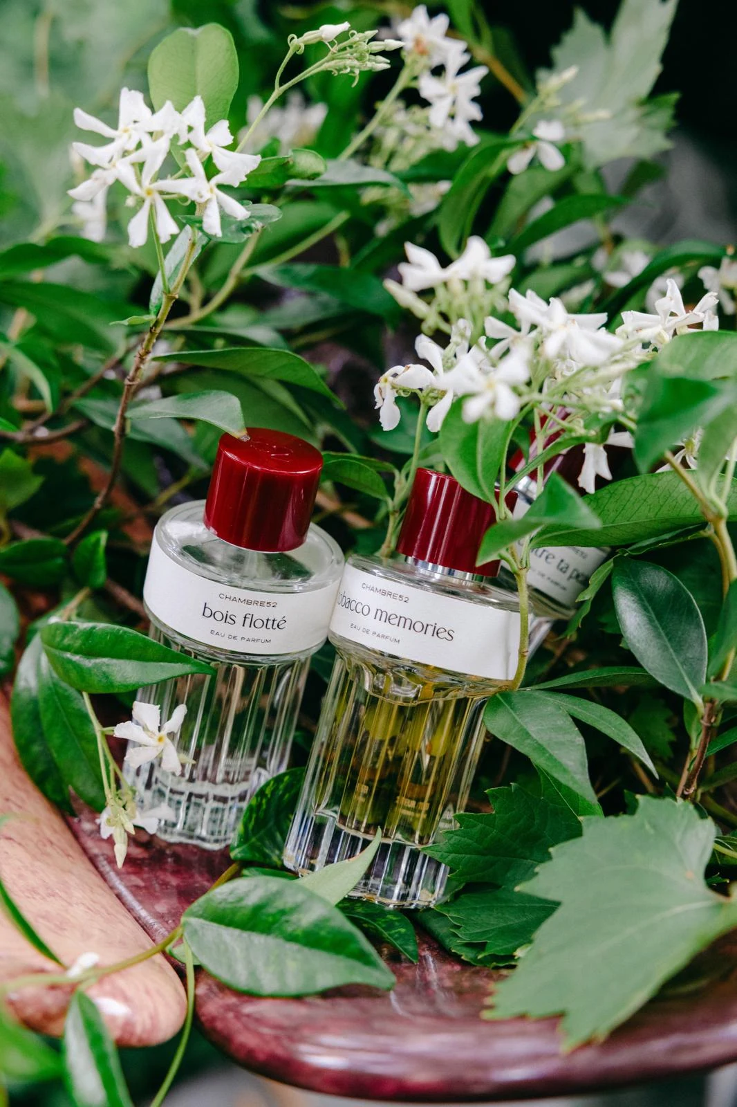Perfume bottles arranged among glossy green leaves and white flowers